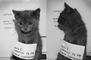 Поймали с поличным