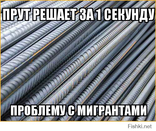 Французские дружинники против арабских мигрантов, громящих магазины