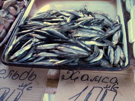 Очень вкусная в Крыму хамса, рыбацкий, сухой посол и, конечно, свежая кефаль.Кефаль пожарить на решетке, на мангале - прелесть! Быстро и вкусно.