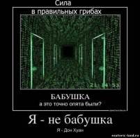 Оргазм мозга: что это?