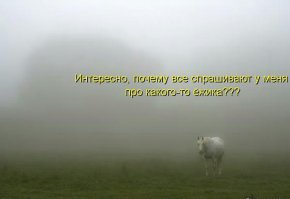 Таинственный туман над рекой ужас 