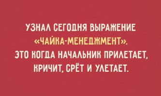 прилетел, покричал, насрал и улетел – это про тебя, дружище