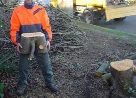 Папа Карло. Начало.