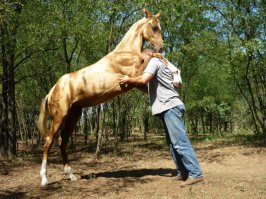 20 фото невероятно трогательных объятий