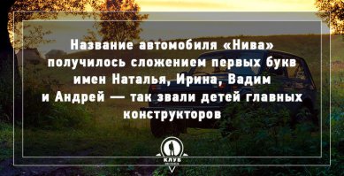 Если бы Ирину звали Ольгой, то получилось бы более логичное название - АВНО!