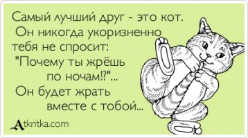 9 причин, почему вам нужно завести кота