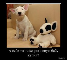 11 сумасшедших игрушек для взрослых, в существование которых сложно поверить
