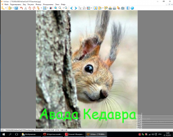 фотошоп сильно замороченный - обычно людям нужно 2-3 функции обрезка , поворот , автоконтрастность,шумоподовление и надпись написать
для  этого хватает древнего XnView. весит 10 мб , ставиться за пять секунд - денег не просит