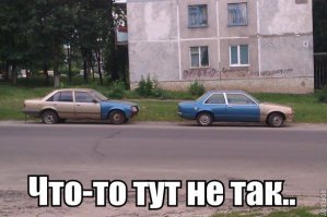 Неразлучники