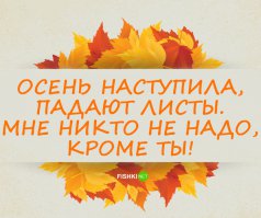 17 лучших стишков-пирожков и порошков об осени