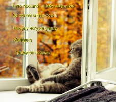 17 лучших стишков-пирожков и порошков об осени
