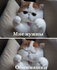 20 фото невероятно трогательных объятий