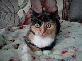 Моя красивишна,но строгая!