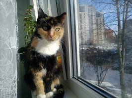 Моя красивишна,но строгая!