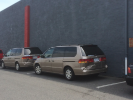 "Мы с сестрой ВСЕ делаем одинаково!!!"