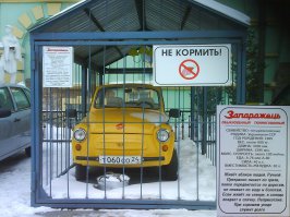 У нас есть вот такой звёр.:)