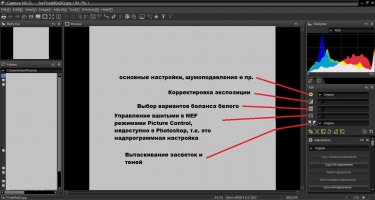 Не за что.
Конкретно по вашей фотографии я вижу неправильный баланс белого - голубая рука и голубой пух у птички, шумы не разглядеть, так как фотка маленькой открывается. Так как вы снимаете в NEF у вас есть огромные возможности воспользоваться встроенными настройками, которые даже в NEF становятся недоступными в Photoshop, так как они надпрограммные, то есть редактируются только Никоновским софтом, например, изменение профилей Picture Control (которые вы вибираете в фотоаппарате, пейзаж, равномерный, портрет и пр.)уже после съемки. Для этого есть простая прога Capture NX-PRO, вот ссылка на сайт NIKON:


Это первое, с чего следует начинать редактирование, она коряво обрезает, это сделаете в PS, но вот самая сырая обработка начинается именно отсюда, там и виньетирование и дисторсия и Active DLighting и еще много чего. Еще прикрепляю скрин из проги, чтоб вам проще было понять, чего начать там.))