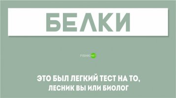 Тест на алконавта