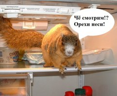 20 незаменимых советов для кухни