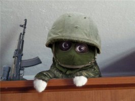 Боевые котики