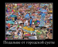 Типы туристов в гифках