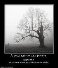 20 примеров суровой борьбы природы с цивилизацией