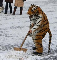 Интересно дворник-людоед так выглядит ?