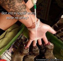 16 невероятно теплых снимков о любви человека к братьям нашим меньшим