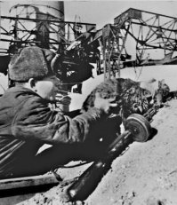 Изначально, в подборке " кошки и война" 30 фото и они с подписями время и место.
Эвакуация в Белоруссии 1943
Кот прячется в берцах. Крит.
И наши.