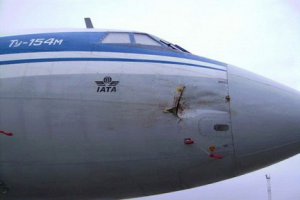 На картинке ниже самолет столкнулся с гусем. Видимо, гусь был бронебойным