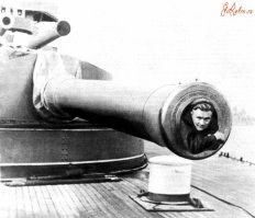 Главный калибр. Устройство и принцип работы.