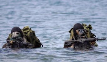 вот еще немного боевых котиков