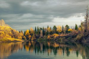 Времена года – осень