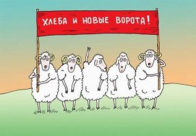 автор молоток! надрал жопу этим баранам!