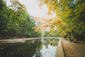 Мои работы - Нескучный сад Москва 2015 сентябрь!