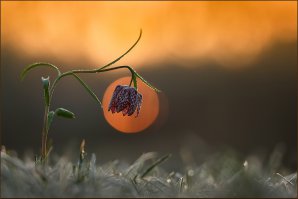 Подборка фотографий