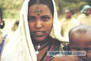 Скажи дураку помолиться, так он и лоб ......