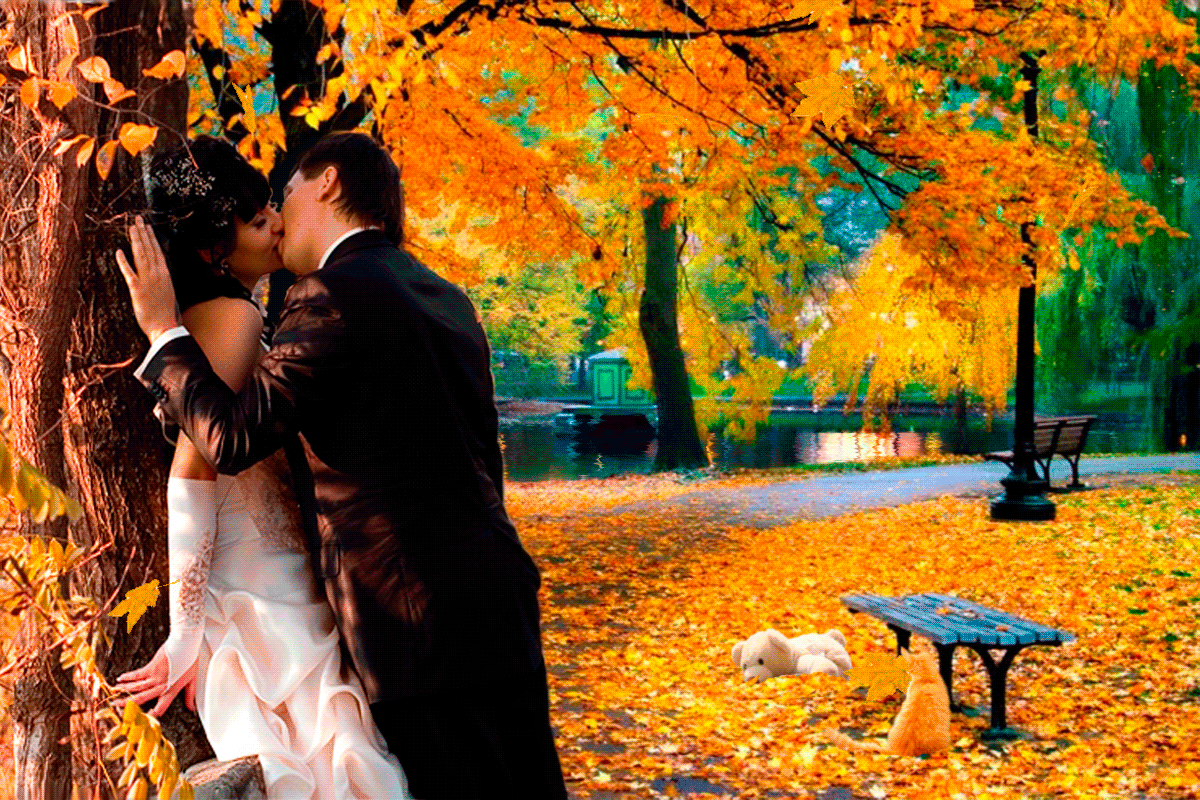 Песня кружит осенний листопад а сердце. Осенняя любовь. Осень любовь. Осенняя романтика. Осень влюбленные.
