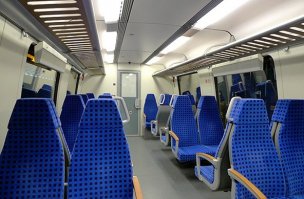 Сразу видно немецкую породу.