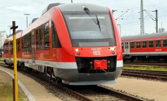 Сразу видно немецкую породу.