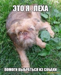 А Лёхе забыли