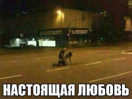 Смешные надписи и объявления