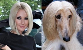 18 смешных собак, которые выглядят как нечто другое