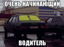 Понять и простить: как начинающие водители стараются выжить на дороге