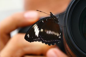 Подборка фотографий