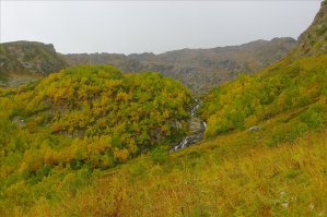 Немного осени 