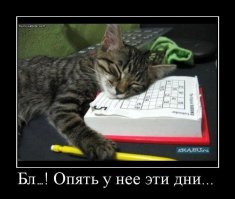 10 причин, по которым женщина отказывает в близости