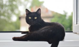 Мне очень нравился и нравится.24-70 конечно лучше, тамрон, но и денег стоит в 2 раза больше, родную никоновскую оптику не рассматриваем!
Автор снимает на Никон 3200!
 В свое время снято на него с никоном 3200, как  у автора, без ретуши и обработки, что нашлось