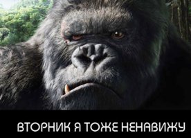 19 открыток о сложностях понедельников