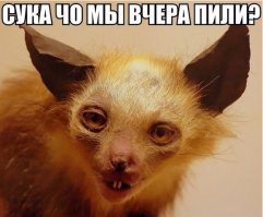 Таксидермисты жгут